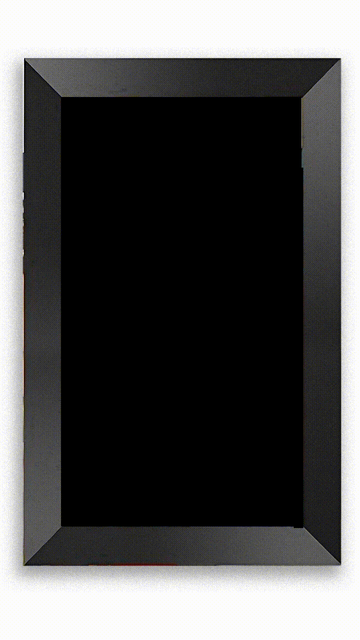 15.6” REALZ Video Frame®